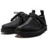 Clarks x Neighborhood Desert Trek GTX „Black“ 26167086