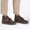 Herren Desert Boot Evo Dunkelbrauner Wildleder-Chukka Herren Desert Boot Evo Dunkelbrauner Wildleder-Chukka